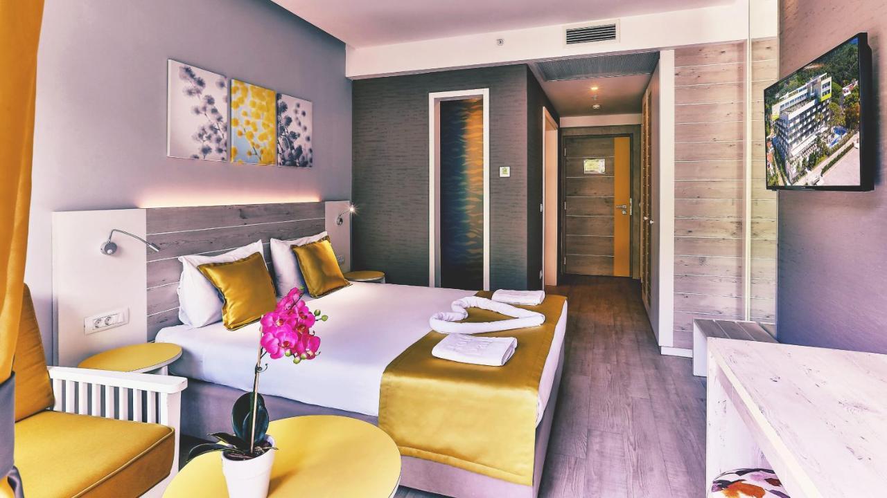Double or Twin Room Mountain View