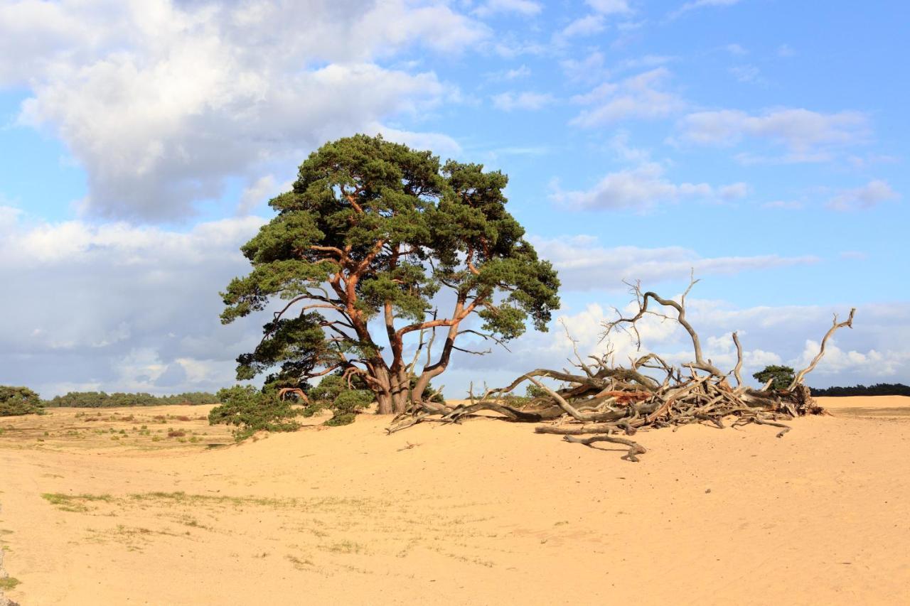 Standard Twin Room,1151986998:JPEG