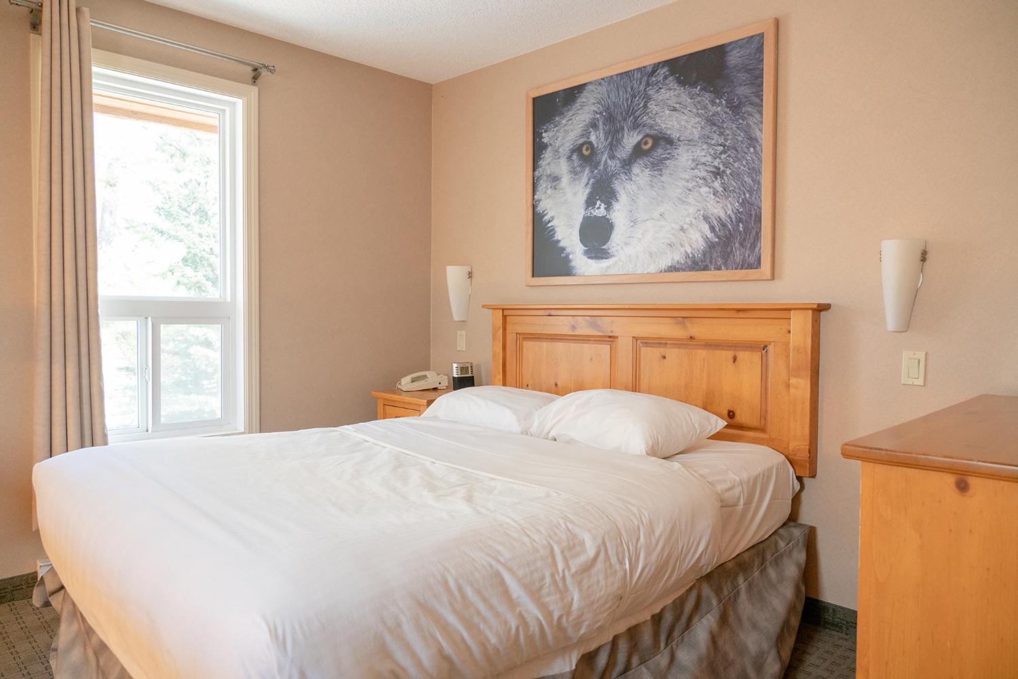 Loft Suite