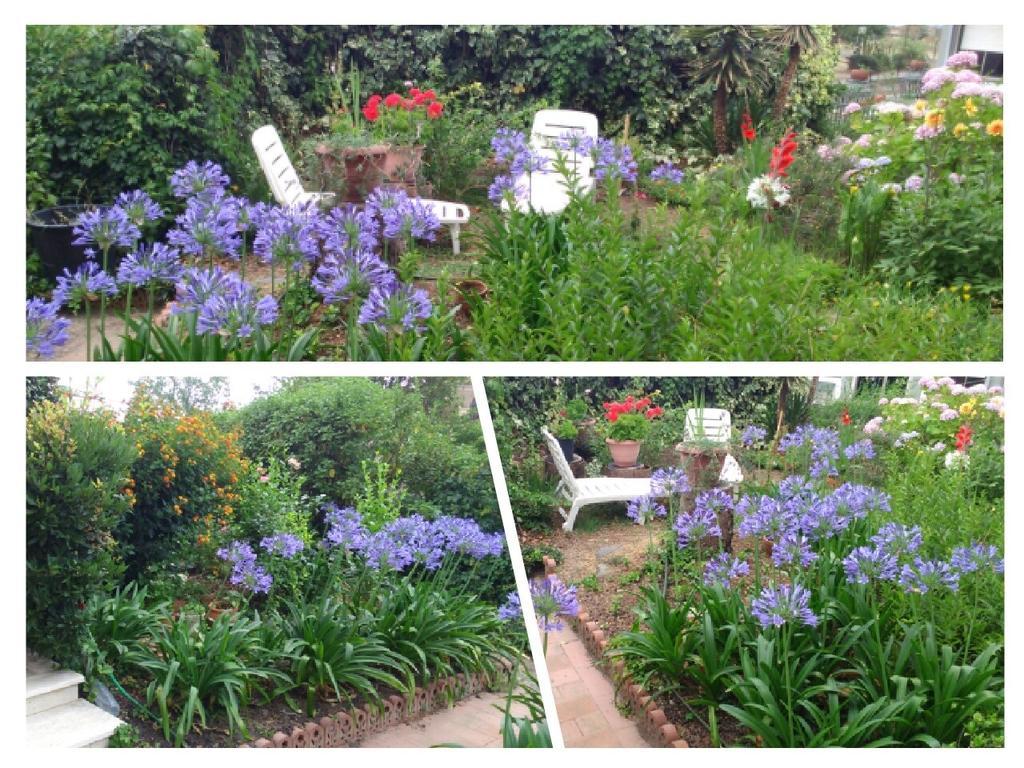 Studio,411292233:JPEG