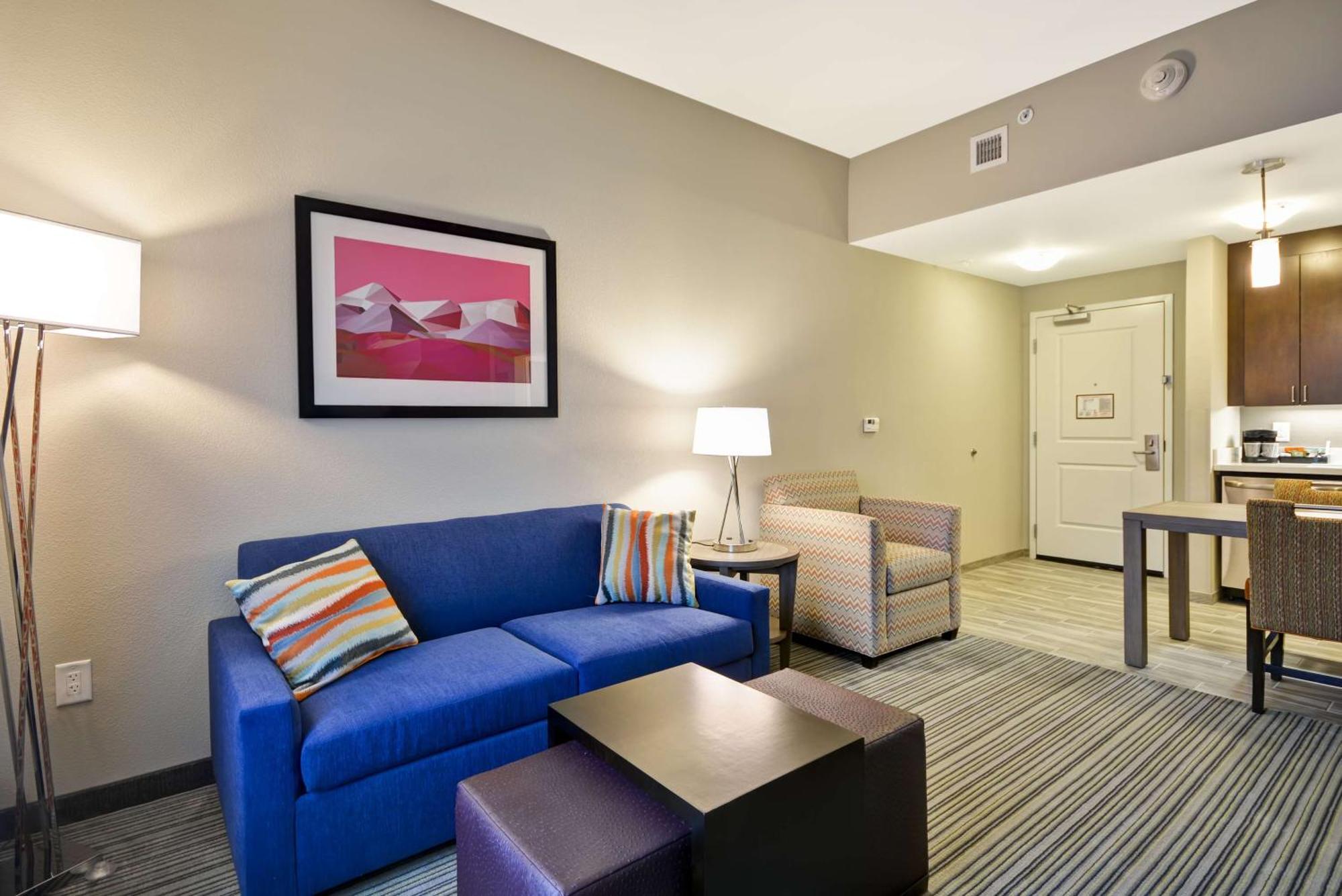 One-Bedroom King Suite Non-Smoking