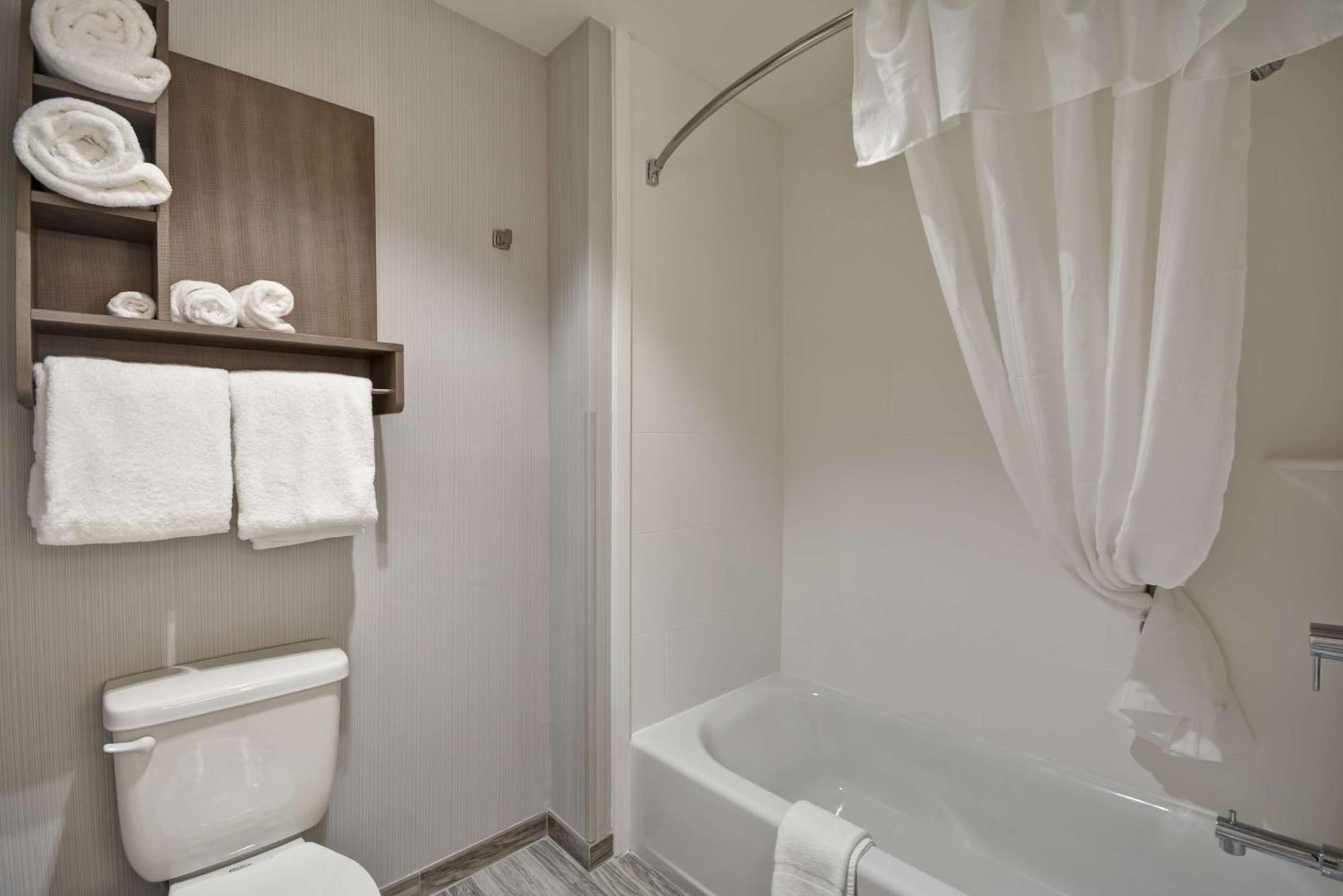One-Bedroom King Suite Non-Smoking