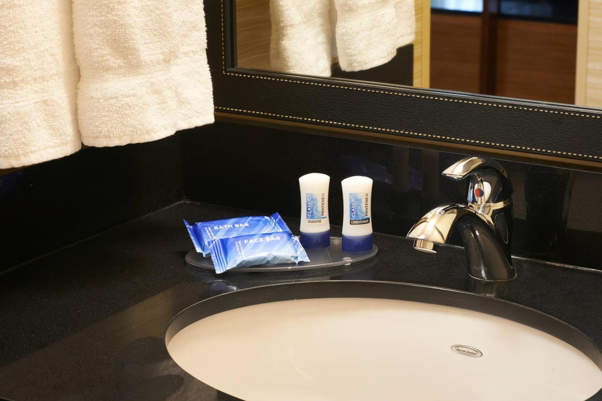 King Room Roll Shower Mobility Access or Hearing Accessible,1632246500:JPEG