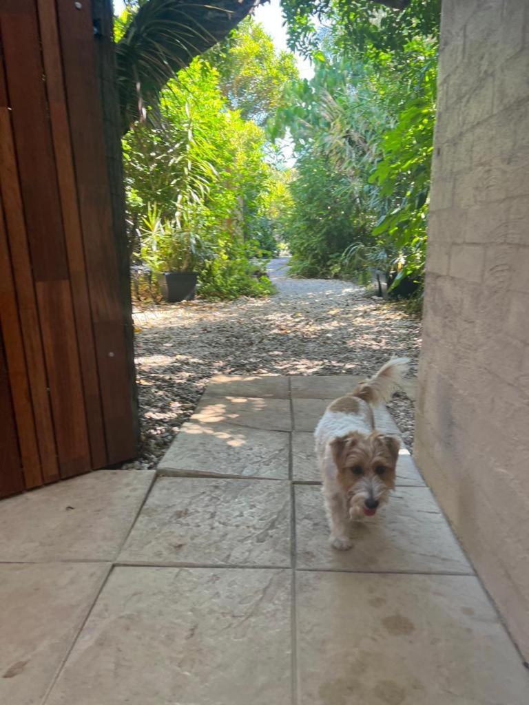 Standard Double Room Courtyard Dog Friendly