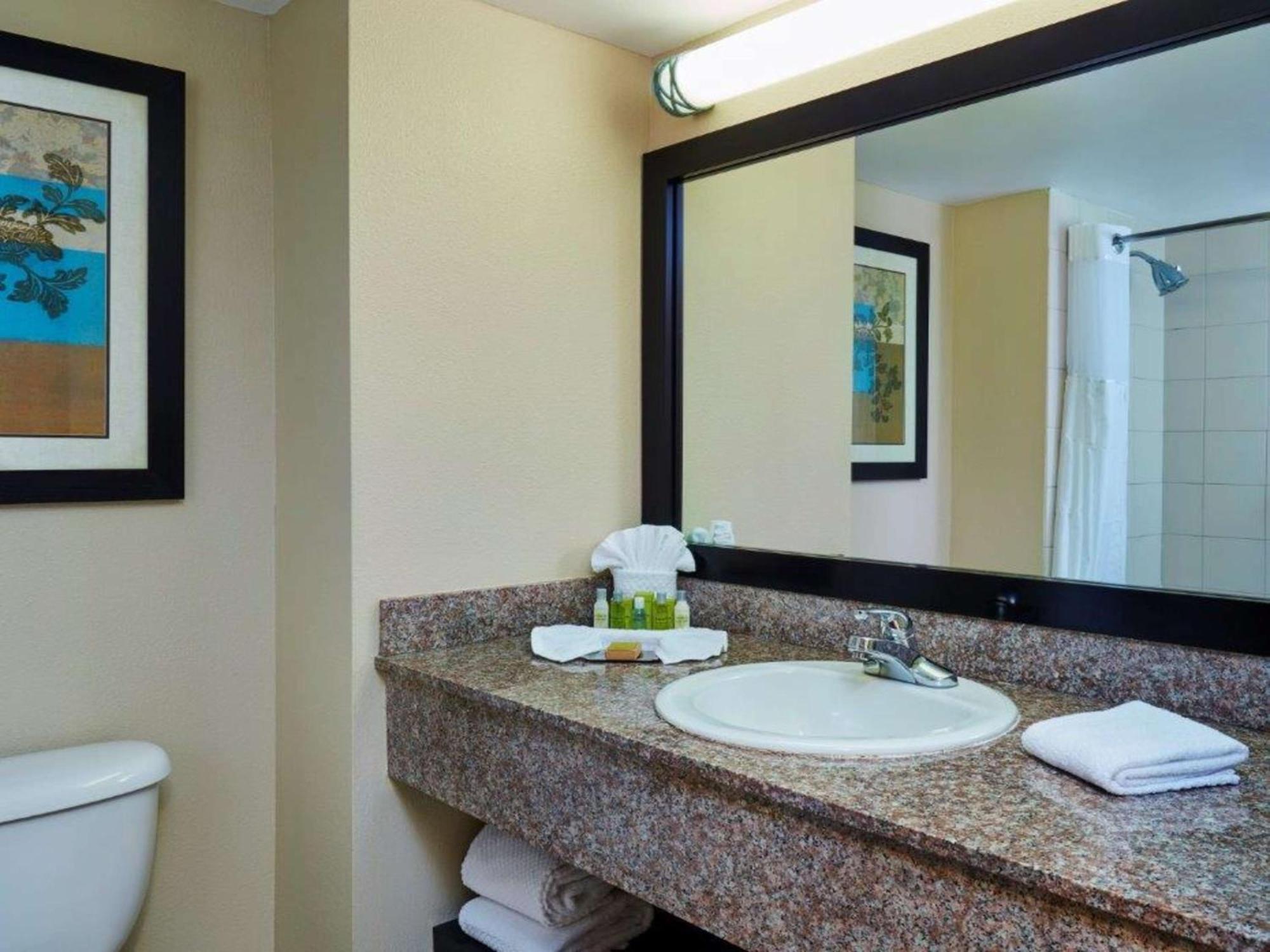 King Room Roll Shower Disability Access