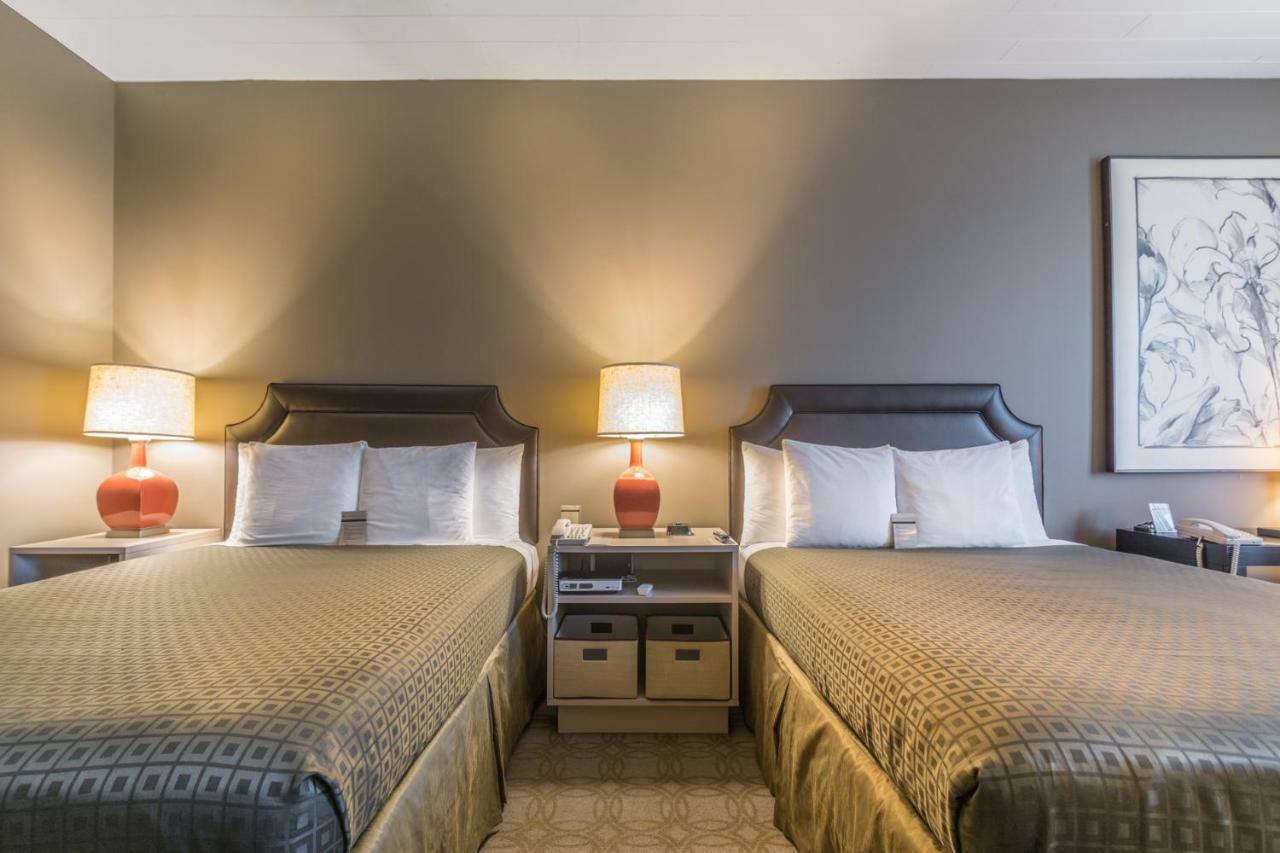 Queen Room with Two Queen Beds,836104484:JPEG