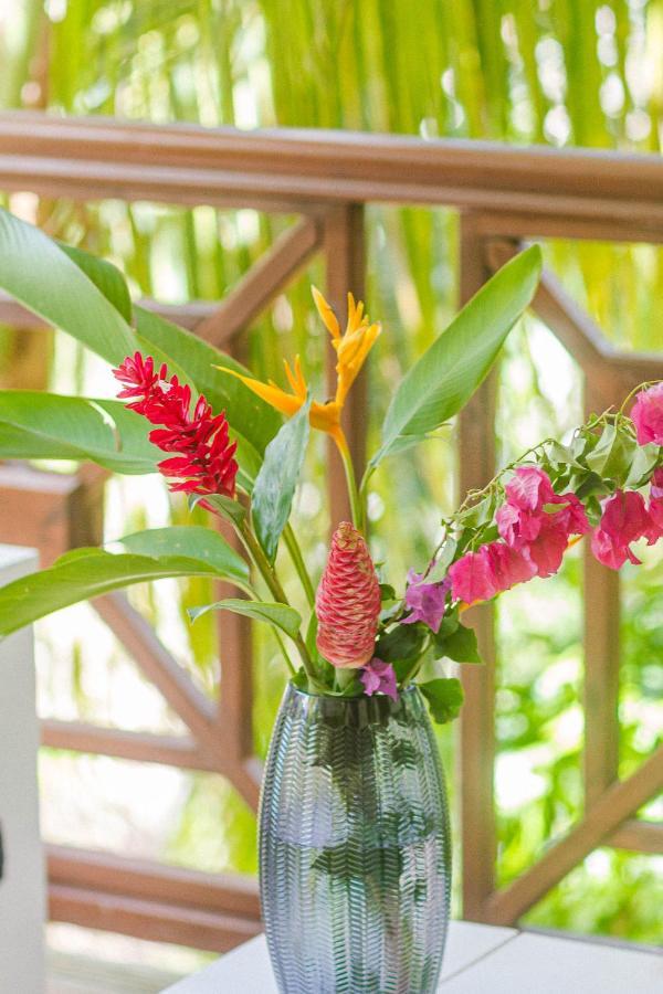 Bungalow Garden View