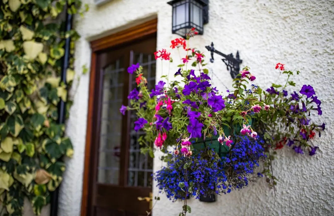 The Cottage-1