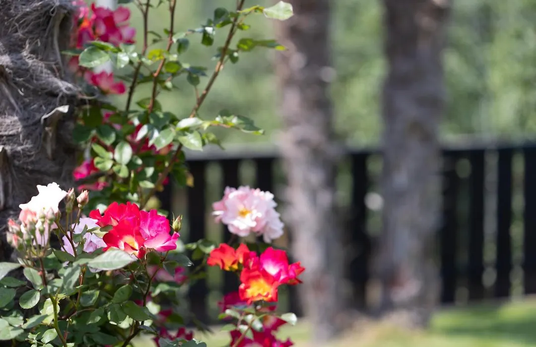 Pension Margreth-1