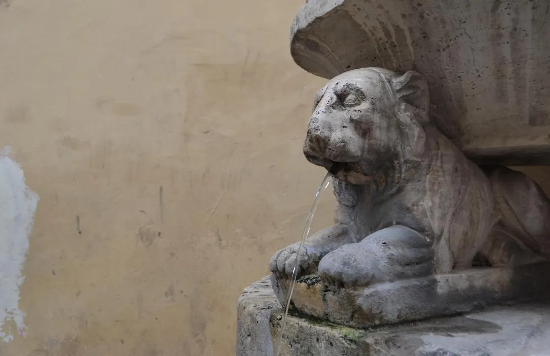 B&B La Fontana dei Cani-1