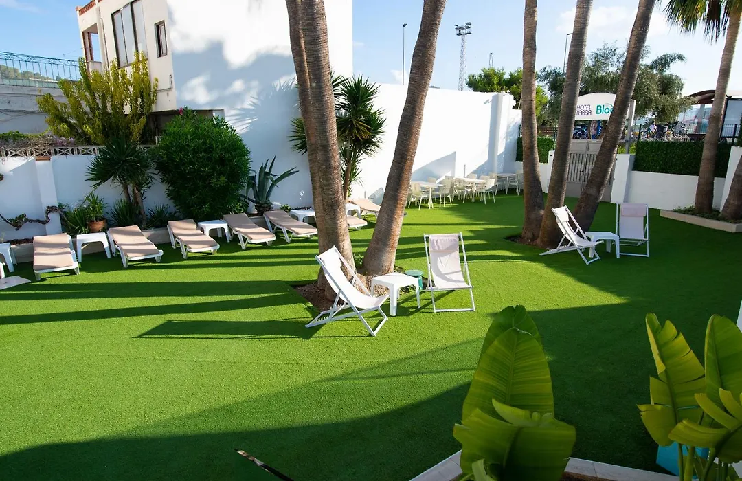 Hotel Tarba-1