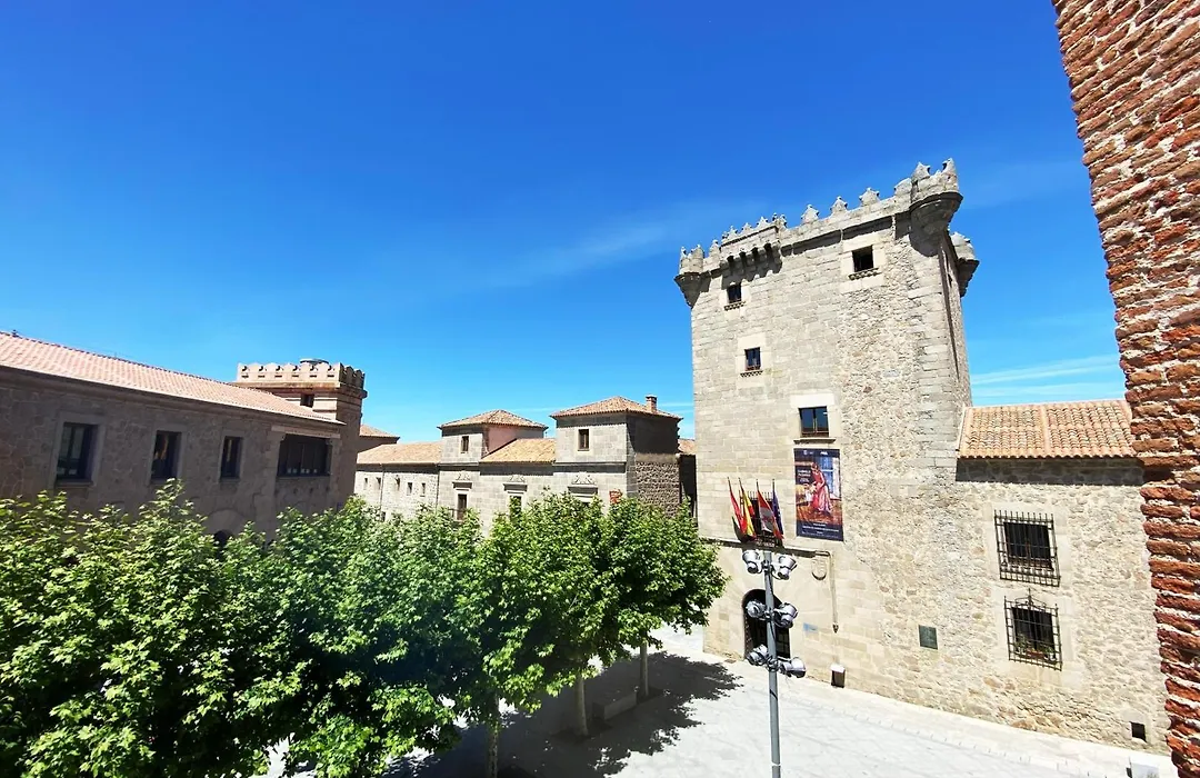 Palacio Duque de Tamames - HOTEL EL RASTRO-1