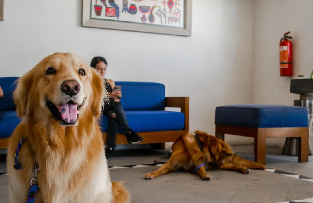 Puerto de Luna Pet Friendly&Family Suites-1