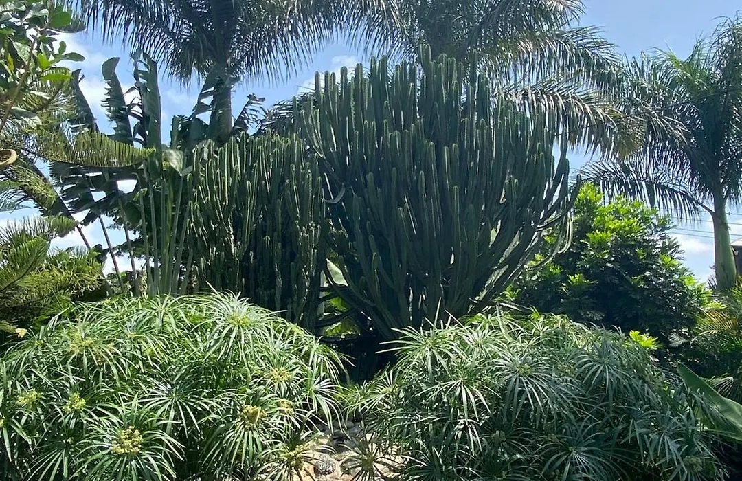 Garden Escape-1