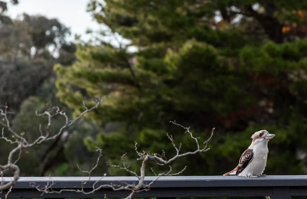 Shizuka Ryokan Japanese Country Spa & Wellness Retreat-1