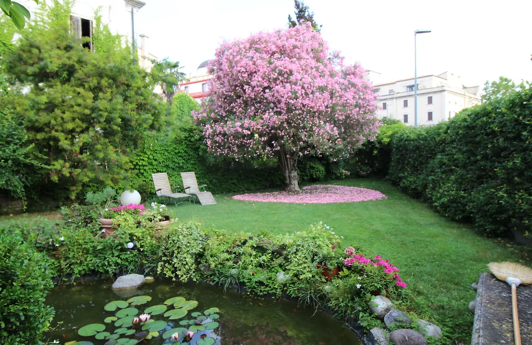 B&B Villa Ines-1