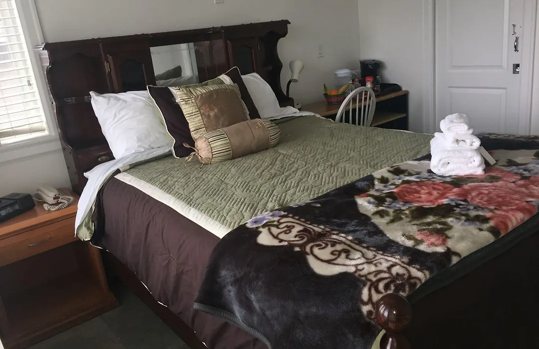 White House Bed And Breakfast-1