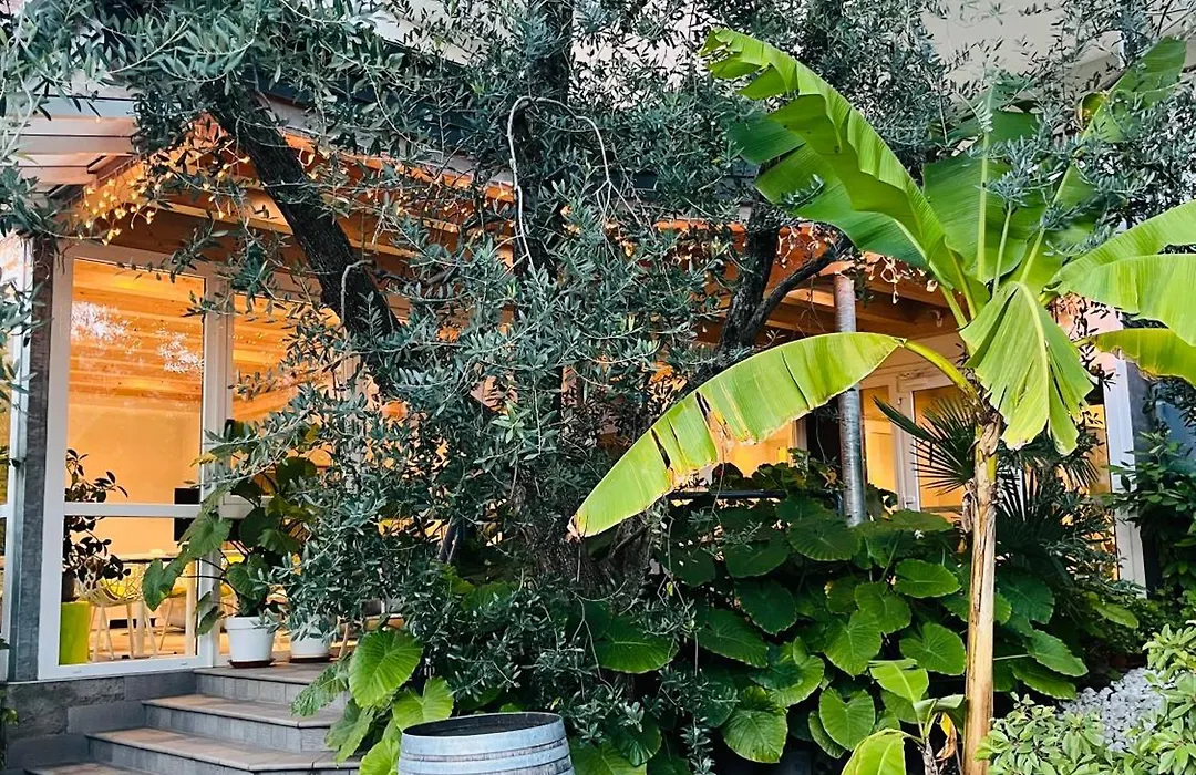 Villa Franca-1