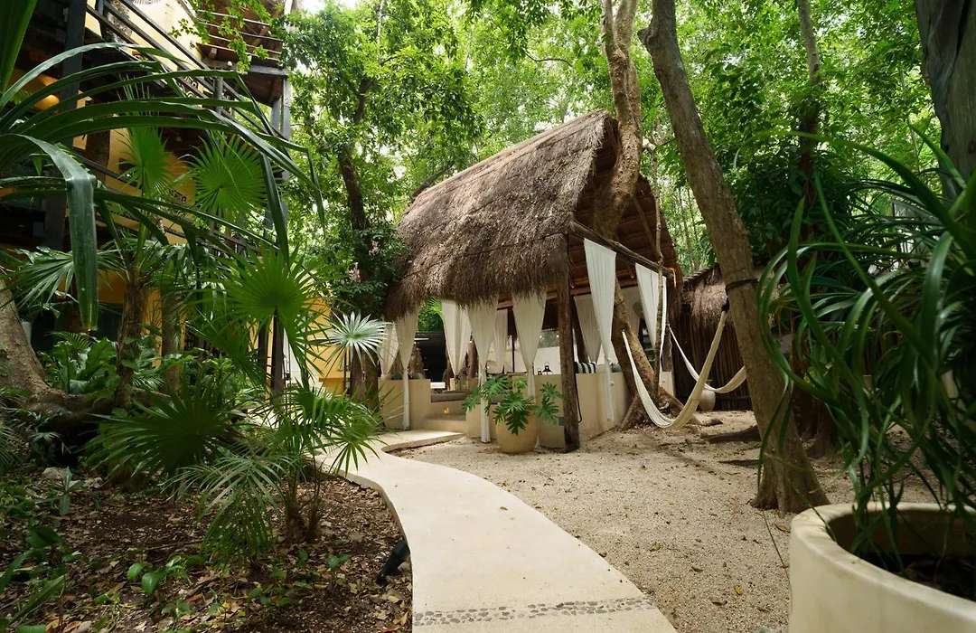 Terasu Riviera Maya Hotel&Spa, en Xcaret-1