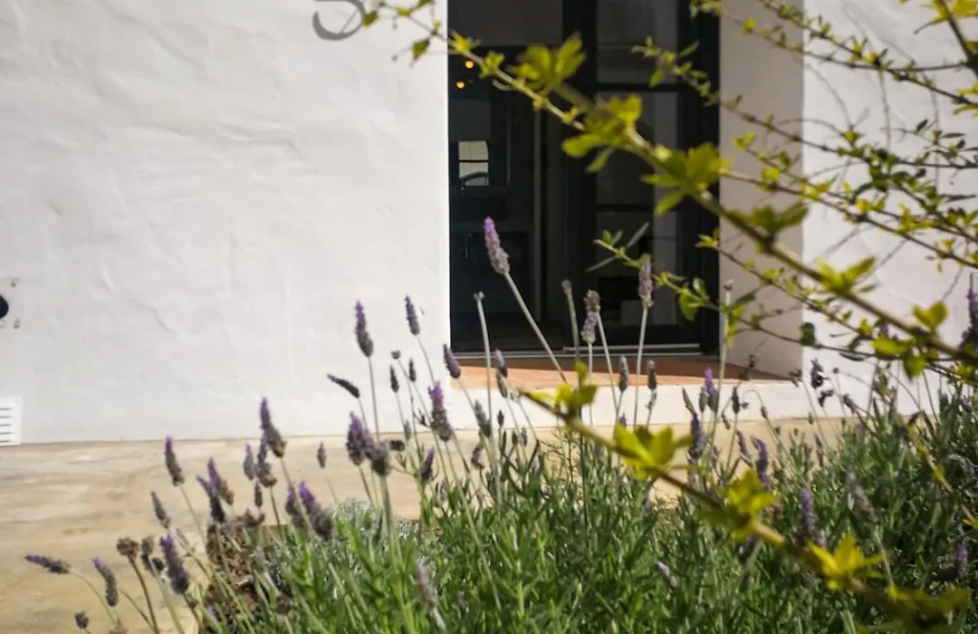 Aljana Guest House Beja-1