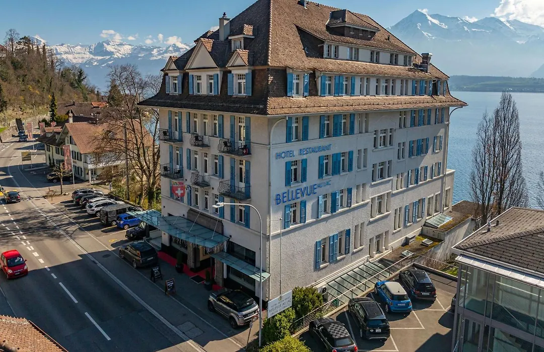 Hotel Restaurant Bellevue Au Lac-1