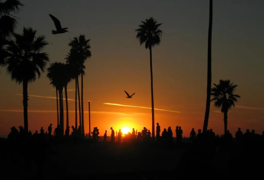 Venice Beach Suites & Hotel-1