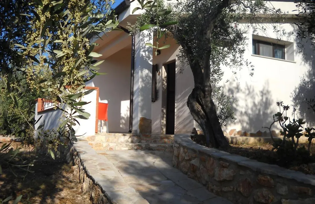 Zagare Residence-1