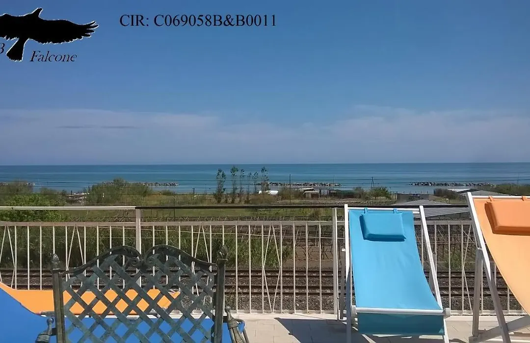 B&B Falcone-1