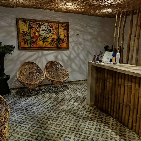 Hotel Casa Bamboo-3