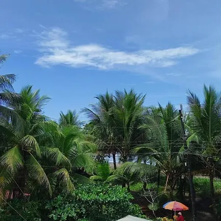 Hotel Pura Natura Beachfront Tortuguero-3