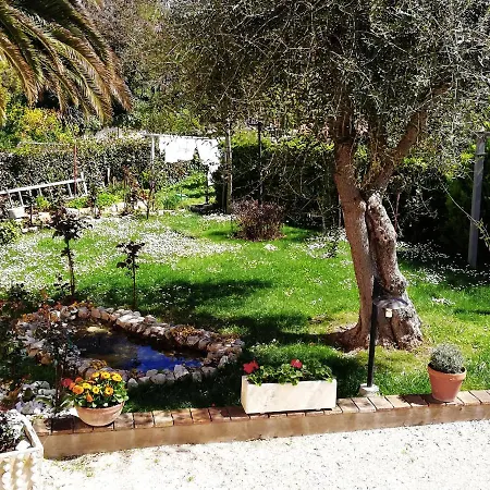 La Ginestra-2