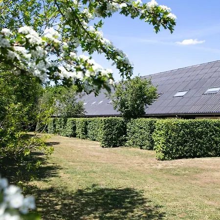 Horsetellerie Rheezerveen-2