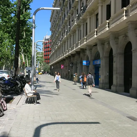 Principal B&Bcn-3