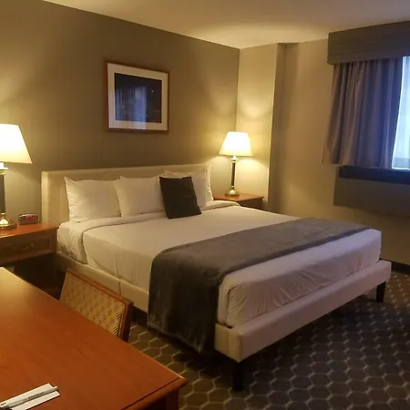 Inn Of Chicago-3