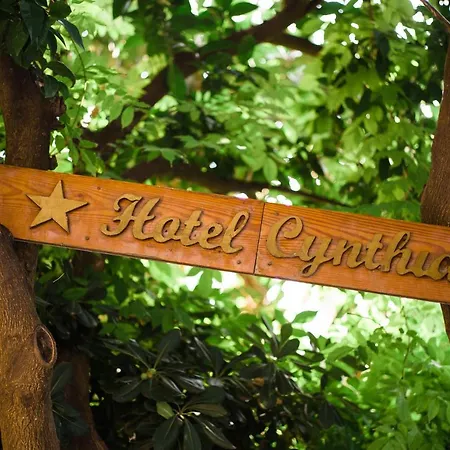 Hotel Cynthia-2