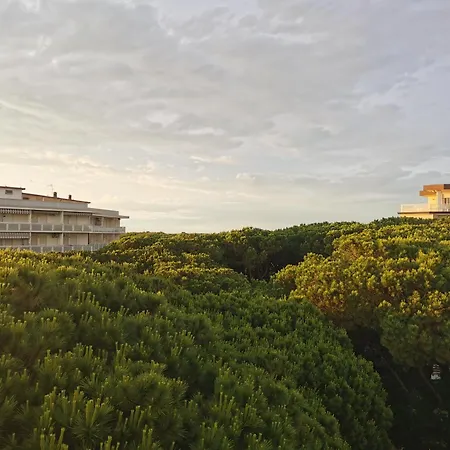 Hotel Pine Beach-3