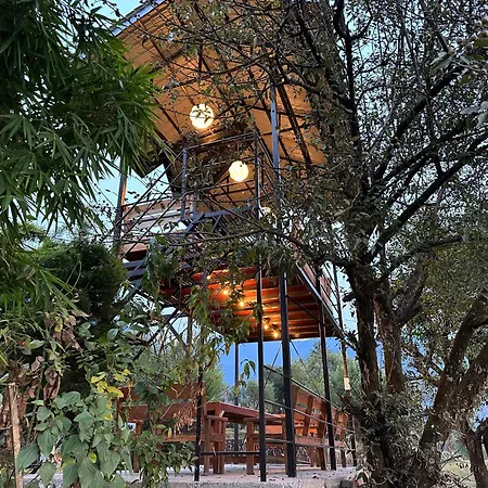 The Billing Health Resort-2