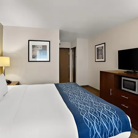 Comfort Inn Lacey - Olympia-2