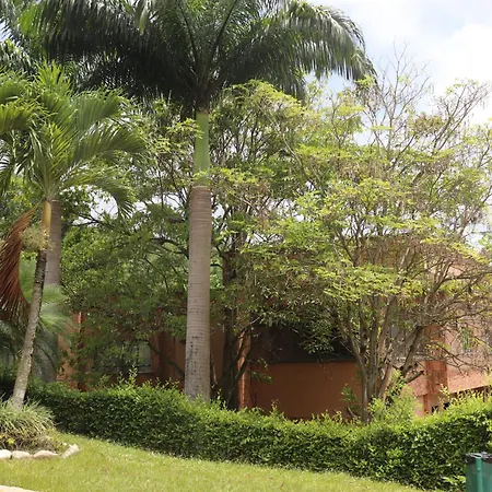 Hotel Palmera Real-2