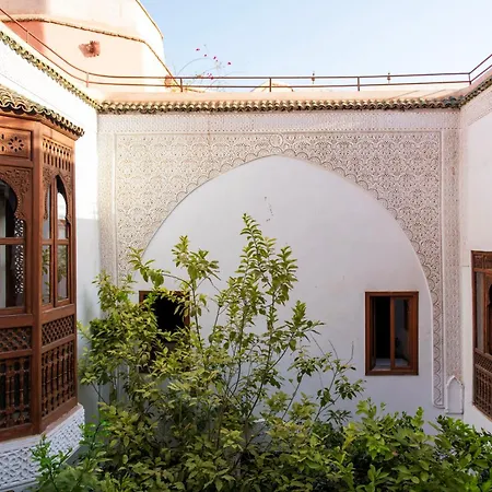 Riad Ben Youssef-2