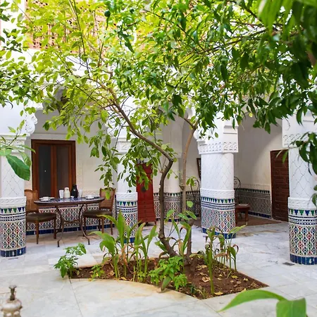Riad Ben Youssef-3