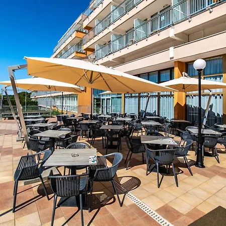 Arena Hotel Holiday-2