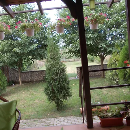 Pensiunea Larisa-3