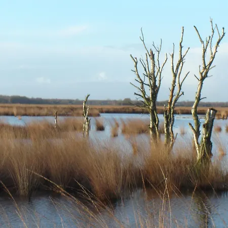 Bitter en Zoet-2