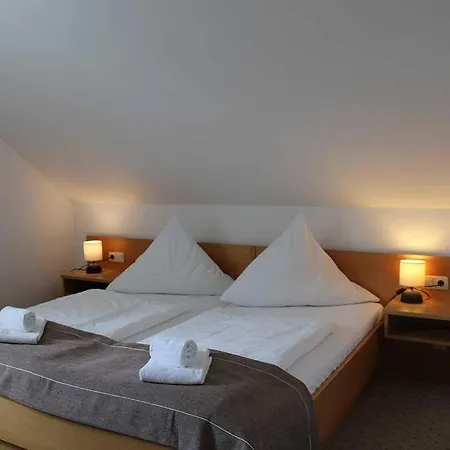 Stadthotel Deggendorf-2