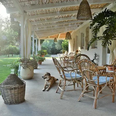 B&B Giallo Limone-3