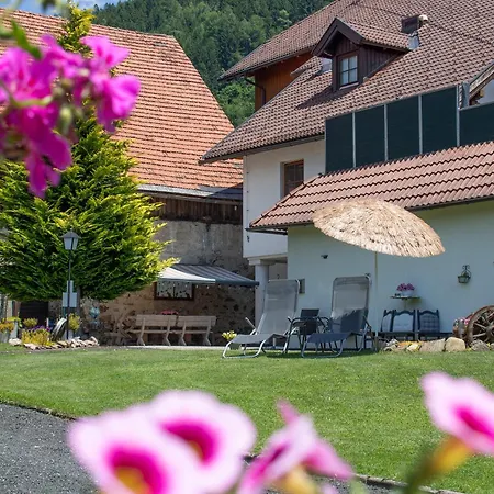 Pension Kaernten-2