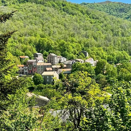 A Bella Scusa-3