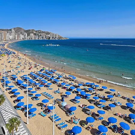 Barceló Benidorm Beach - Adults Recommended-2