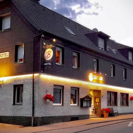 Breer S Hotel-3